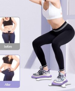 Portable Waist Twisting Discs Boar