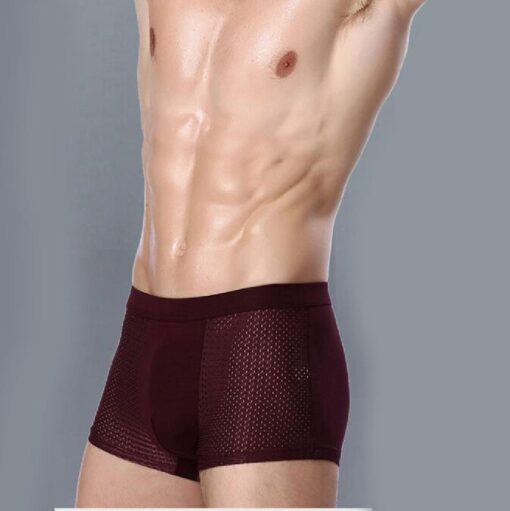 One-, Four-, Eight or Twelve Pack of Men's Breathable Mesh Boxer - Image 7