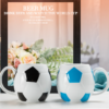Qatar World Cup Football Style Beer Mug