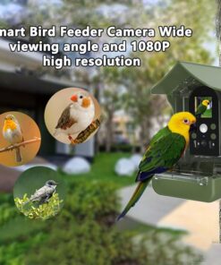 Solar Powered Bird Feeder Camera