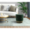18.5'' Tall Stainless Steel Upholstered Ottoman in Green