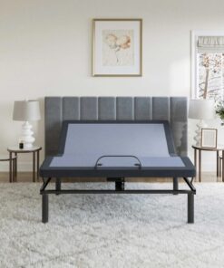 BT2500 King Adjustable Bed